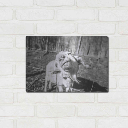 Luxe Metal Art 'Hey Goat' by Donnie Quillen Metal Wall Art,16x12