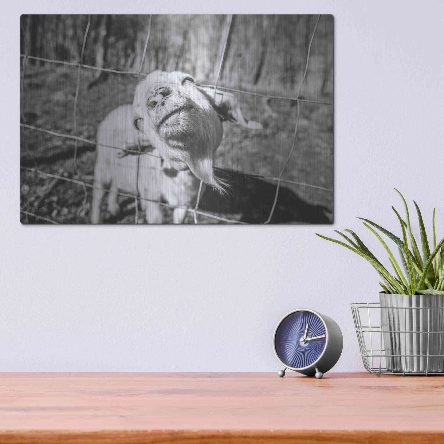 Luxe Metal Art 'Hey Goat' by Donnie Quillen Metal Wall Art,16x12