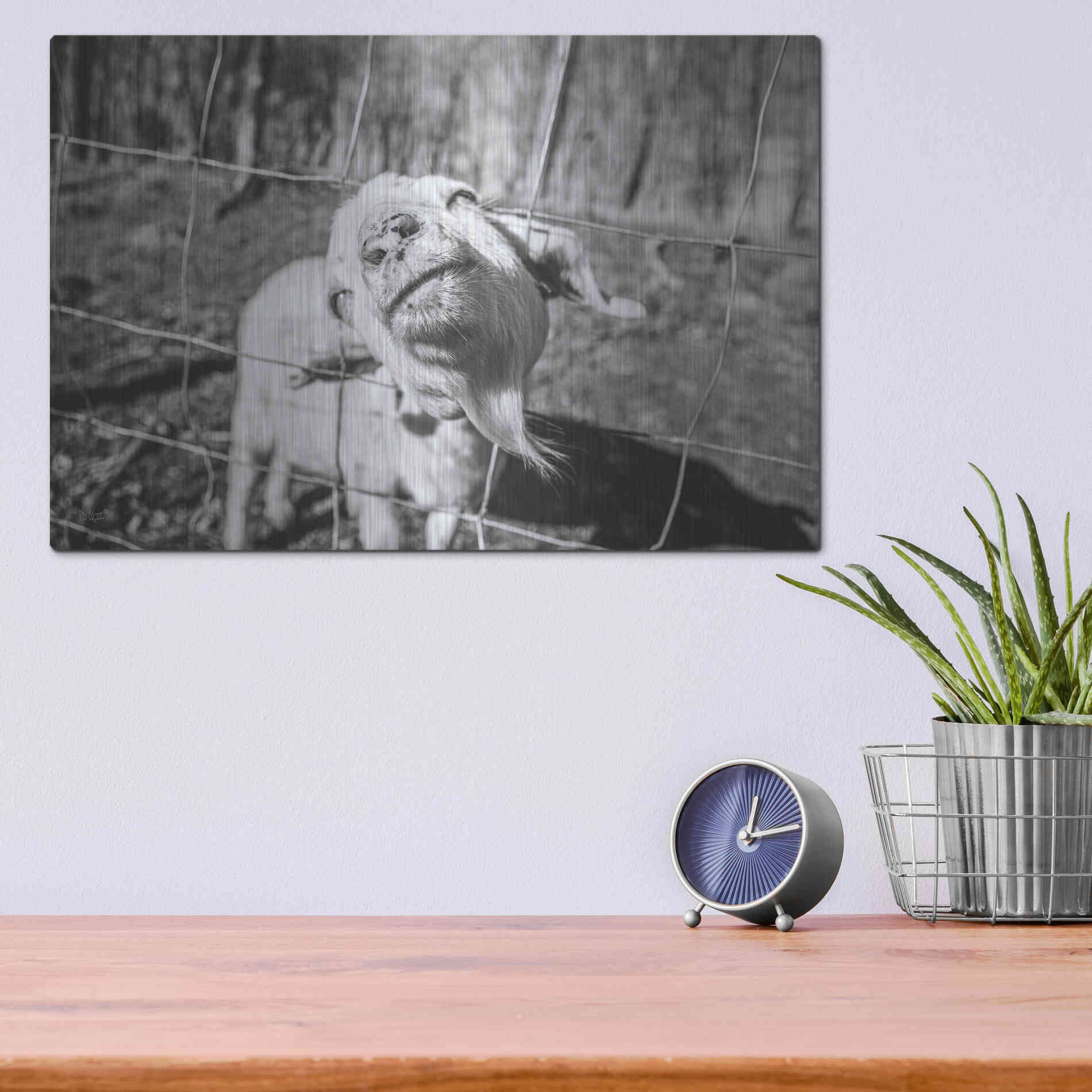 Luxe Metal Art 'Hey Goat' by Donnie Quillen Metal Wall Art,16x12
