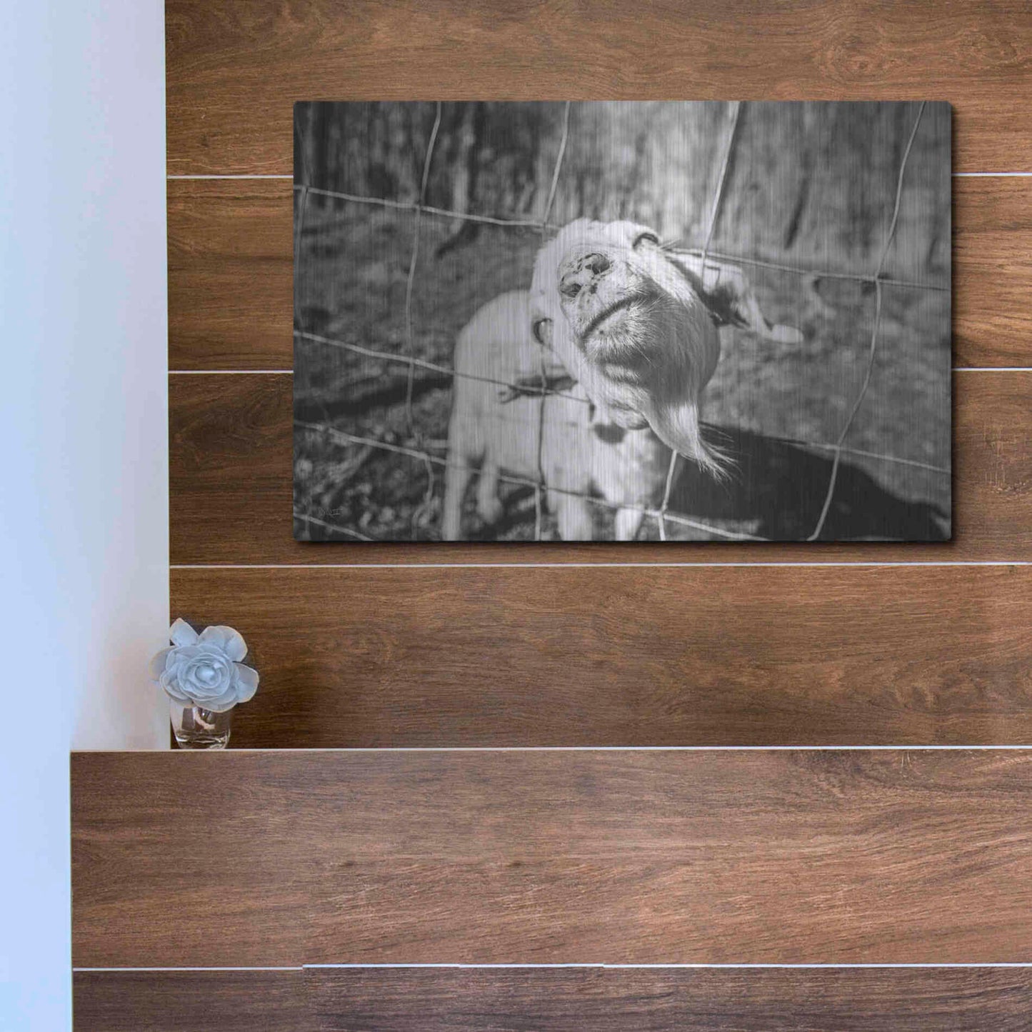 Luxe Metal Art 'Hey Goat' by Donnie Quillen Metal Wall Art,16x12