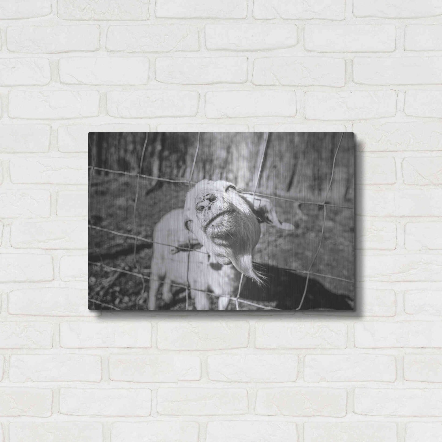 Luxe Metal Art 'Hey Goat' by Donnie Quillen Metal Wall Art,24x16