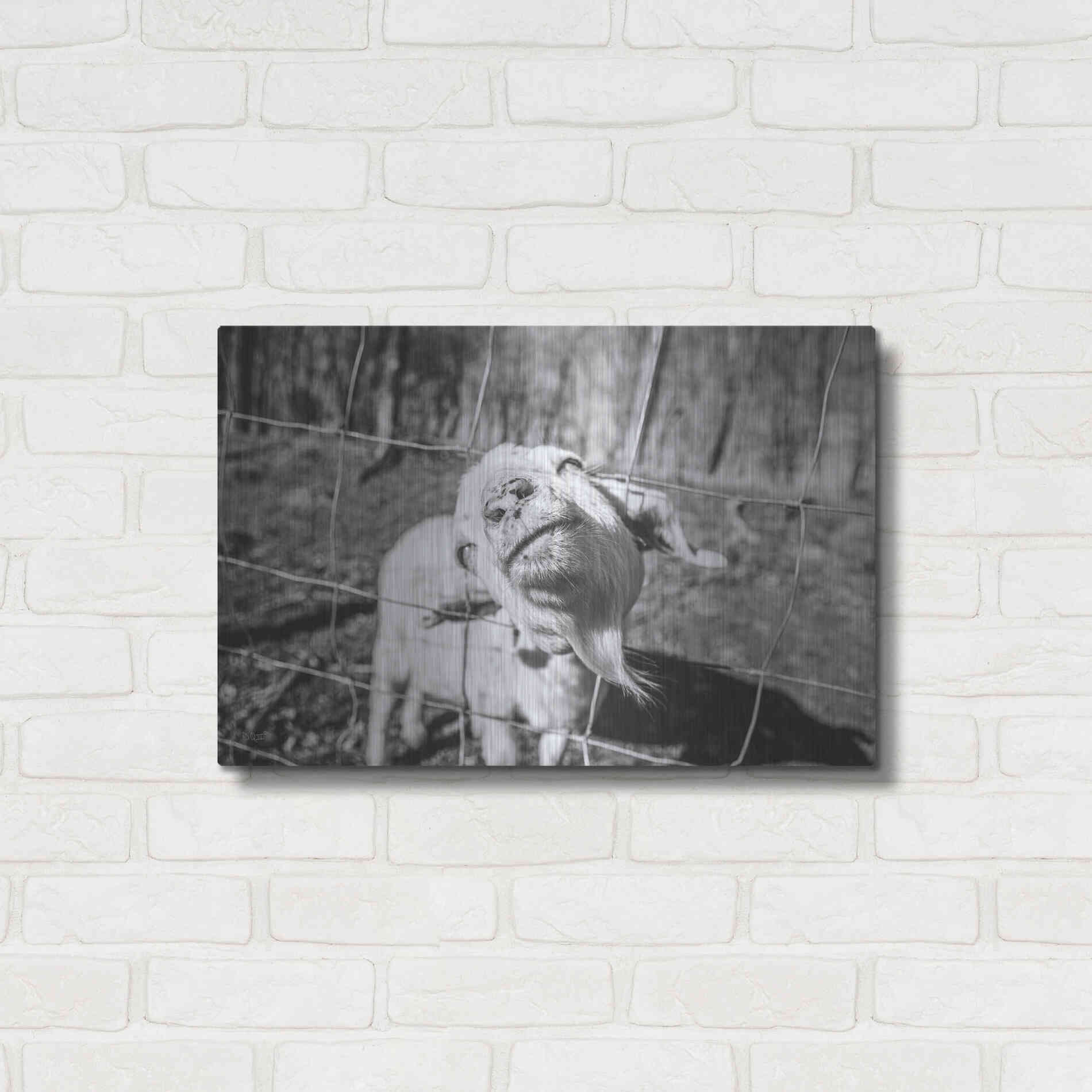 Luxe Metal Art 'Hey Goat' by Donnie Quillen Metal Wall Art,24x16