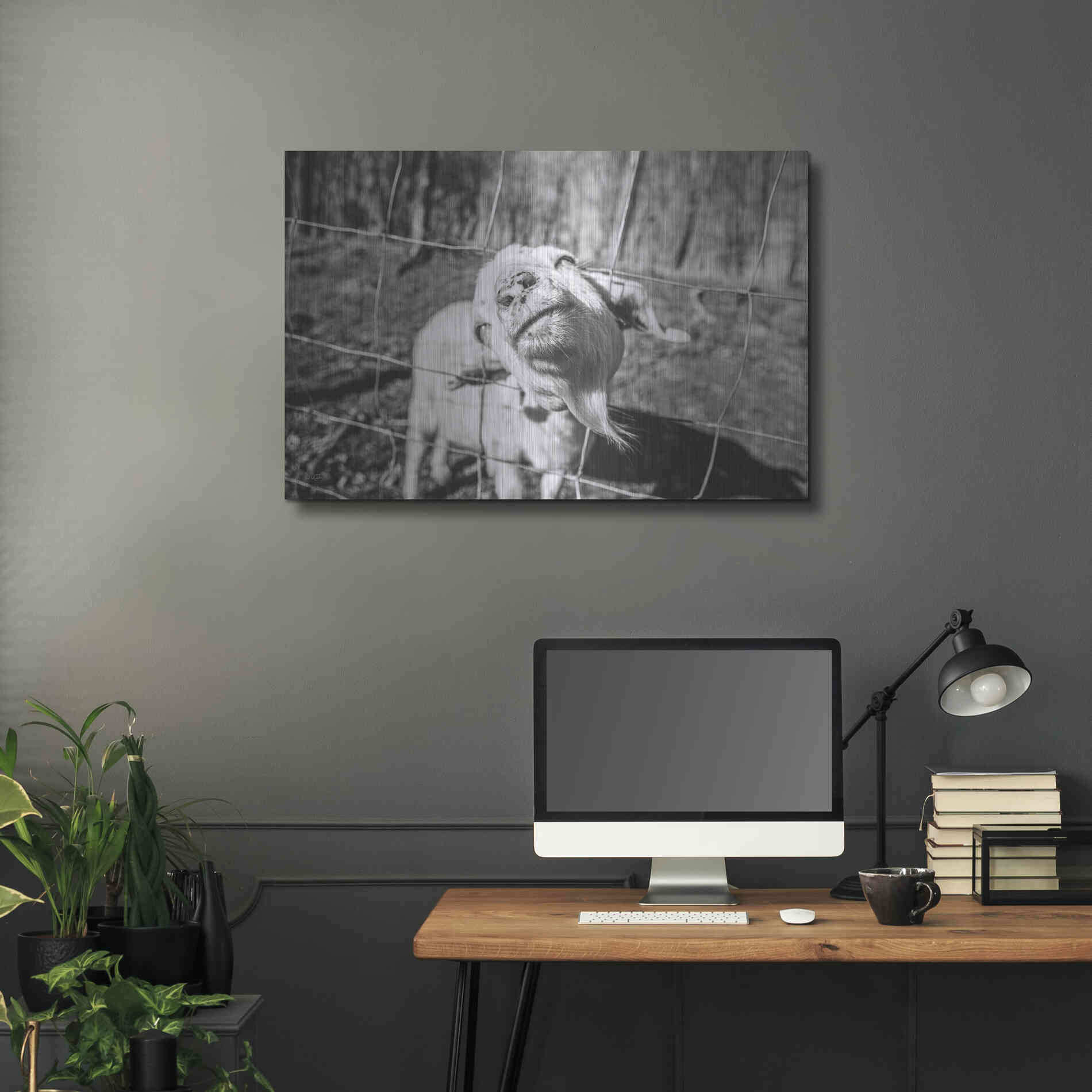 Luxe Metal Art 'Hey Goat' by Donnie Quillen Metal Wall Art,36x24