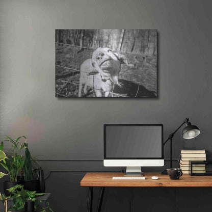 Luxe Metal Art 'Hey Goat' by Donnie Quillen Metal Wall Art,36x24