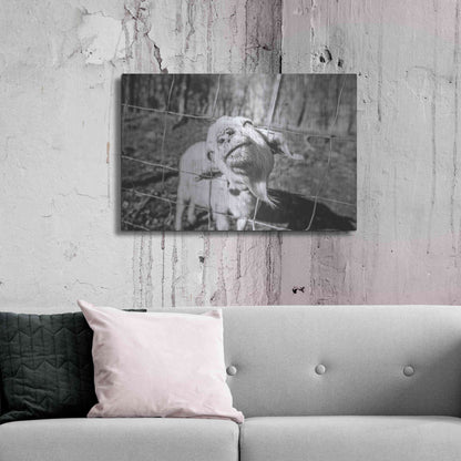 Luxe Metal Art 'Hey Goat' by Donnie Quillen Metal Wall Art,36x24
