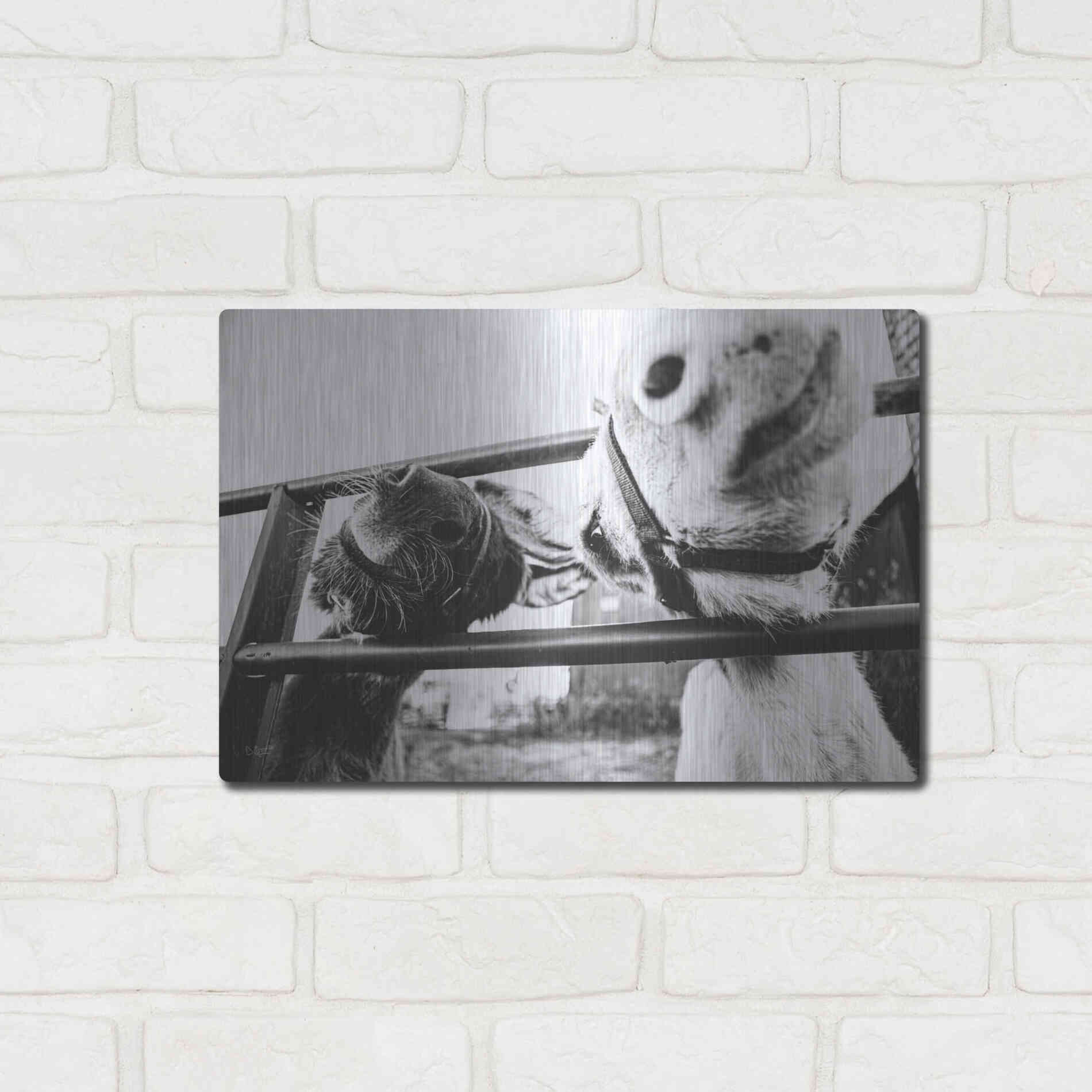 Luxe Metal Art 'Feeding Donkeys' by Donnie Quillen Metal Wall Art,16x12