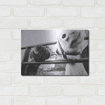 Luxe Metal Art 'Feeding Donkeys' by Donnie Quillen Metal Wall Art,16x12