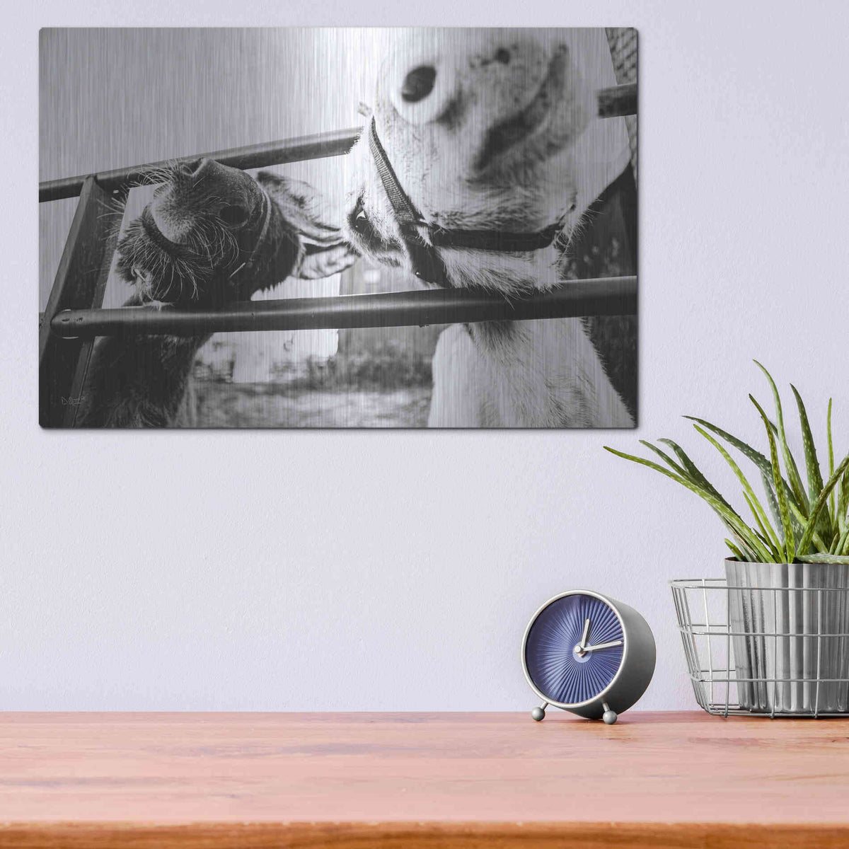 Luxe Metal Art 'Feeding Donkeys' by Donnie Quillen Metal Wall Art,16x12