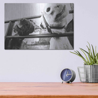 Luxe Metal Art 'Feeding Donkeys' by Donnie Quillen Metal Wall Art,16x12