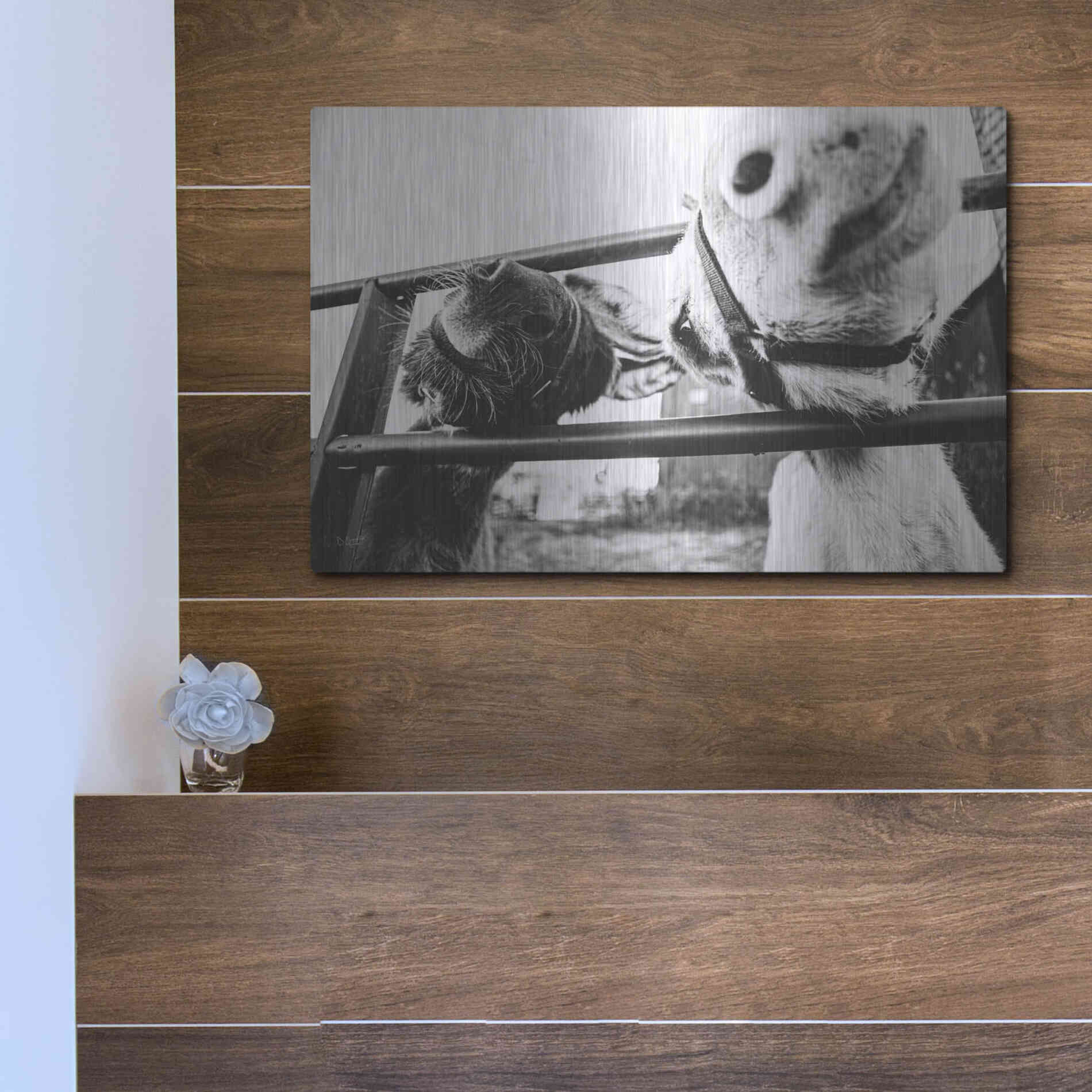 Luxe Metal Art 'Feeding Donkeys' by Donnie Quillen Metal Wall Art,16x12