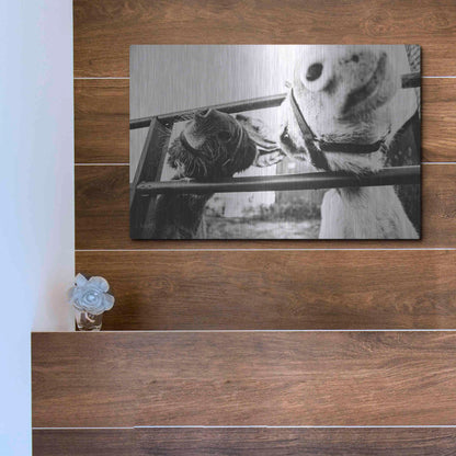 Luxe Metal Art 'Feeding Donkeys' by Donnie Quillen Metal Wall Art,16x12