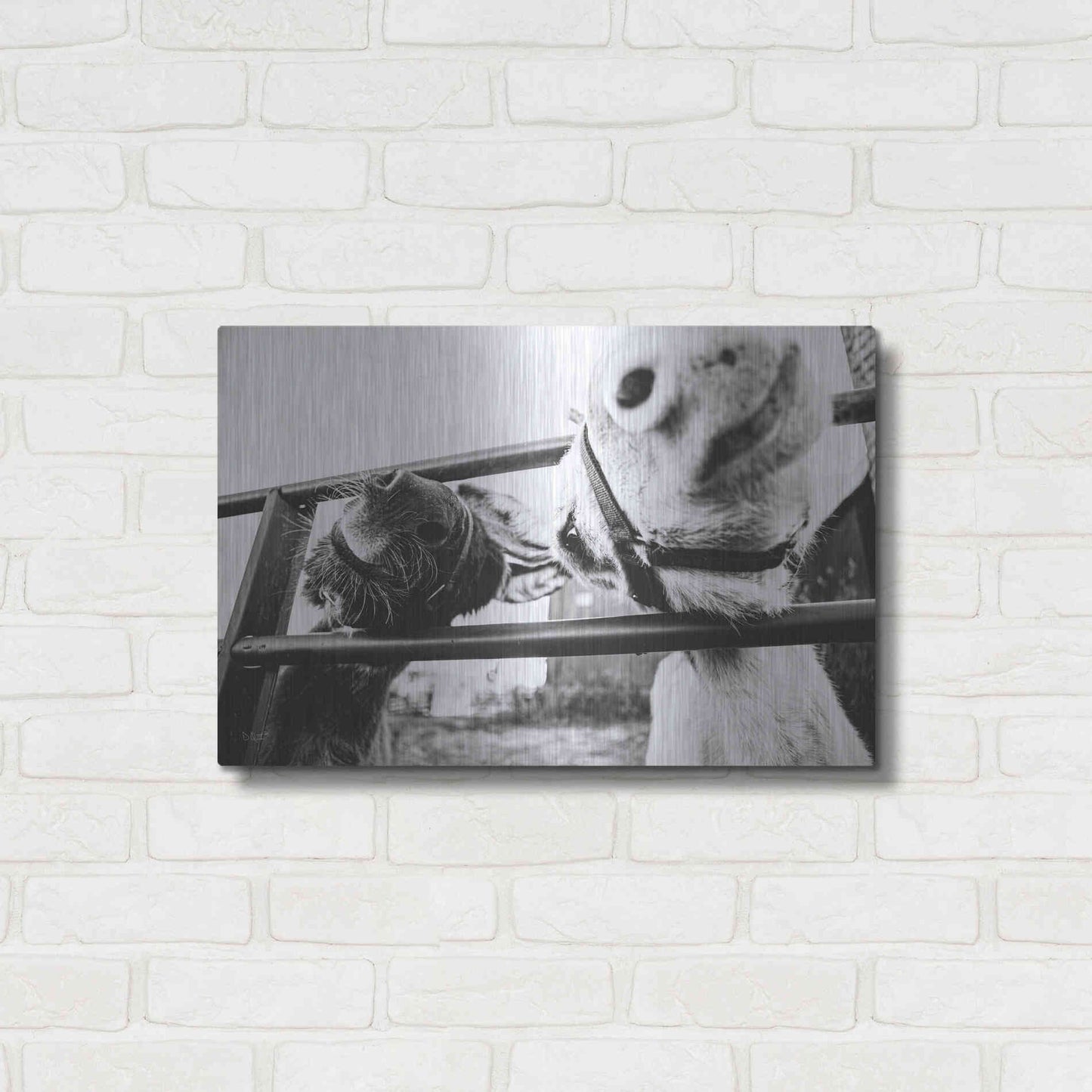 Luxe Metal Art 'Feeding Donkeys' by Donnie Quillen Metal Wall Art,24x16