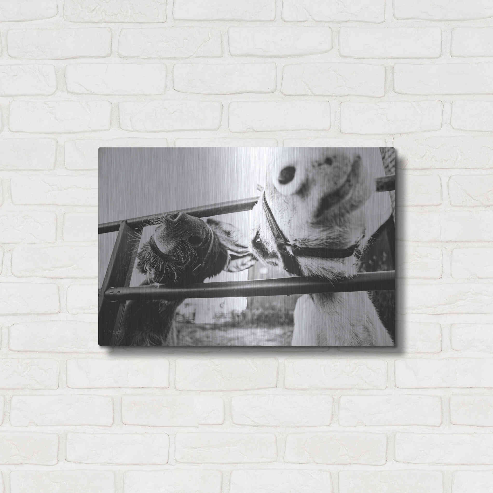 Luxe Metal Art 'Feeding Donkeys' by Donnie Quillen Metal Wall Art,24x16