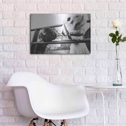 Luxe Metal Art 'Feeding Donkeys' by Donnie Quillen Metal Wall Art,24x16