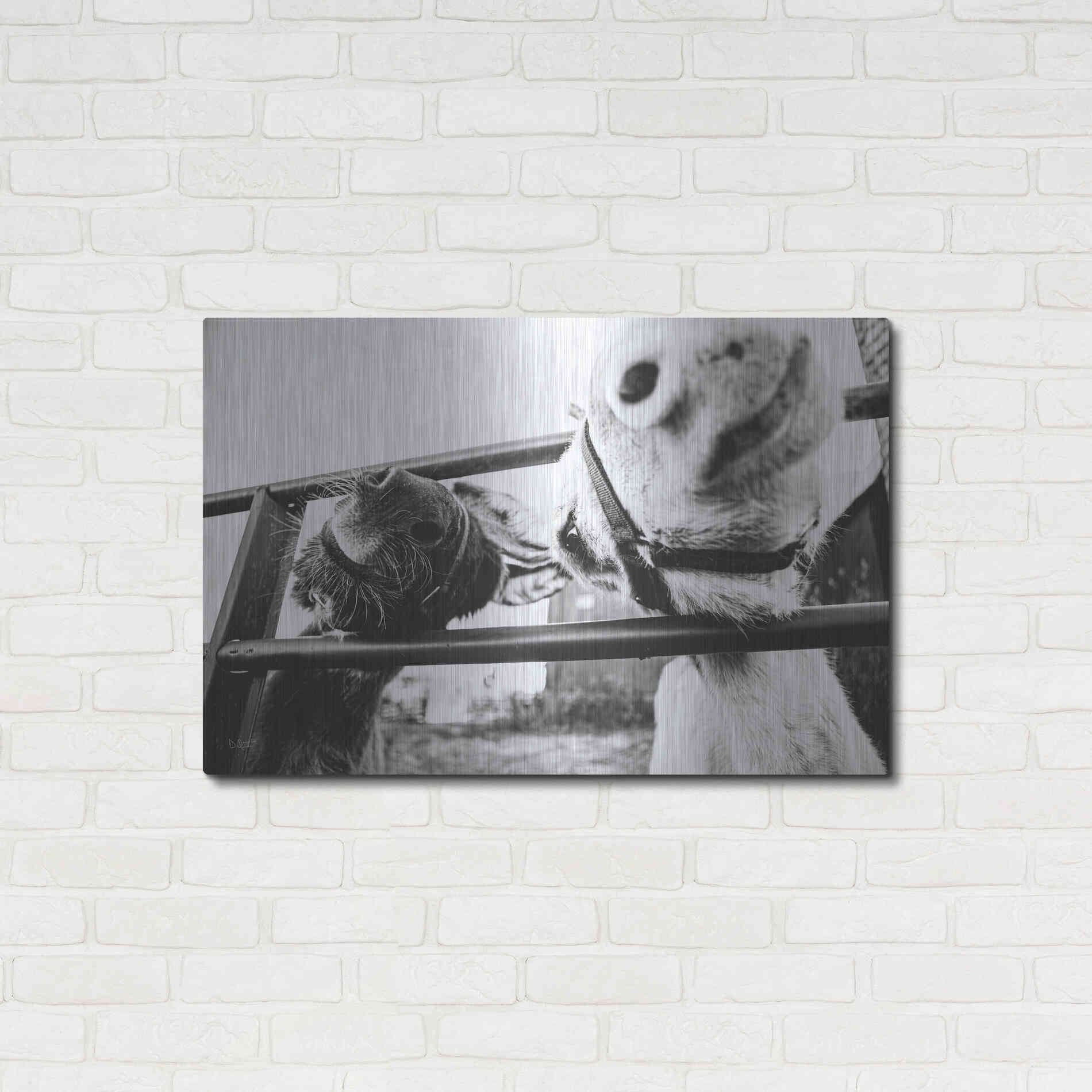 Luxe Metal Art 'Feeding Donkeys' by Donnie Quillen Metal Wall Art,36x24