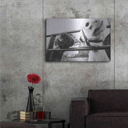 Luxe Metal Art 'Feeding Donkeys' by Donnie Quillen Metal Wall Art,36x24