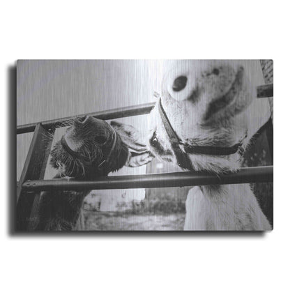 Luxe Metal Art 'Feeding Donkeys' by Donnie Quillen Metal Wall Art
