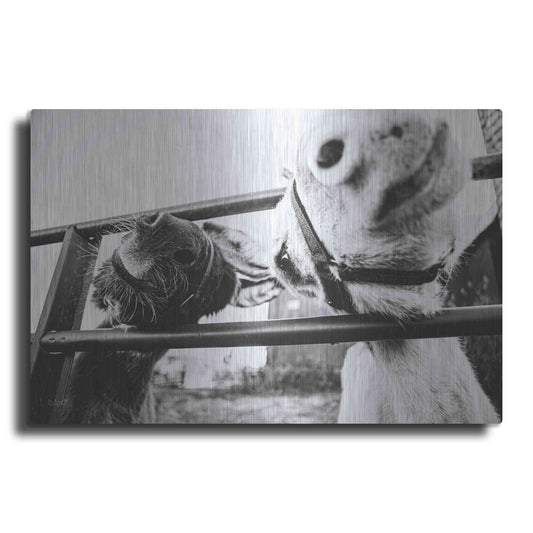 Luxe Metal Art 'Feeding Donkeys' by Donnie Quillen Metal Wall Art