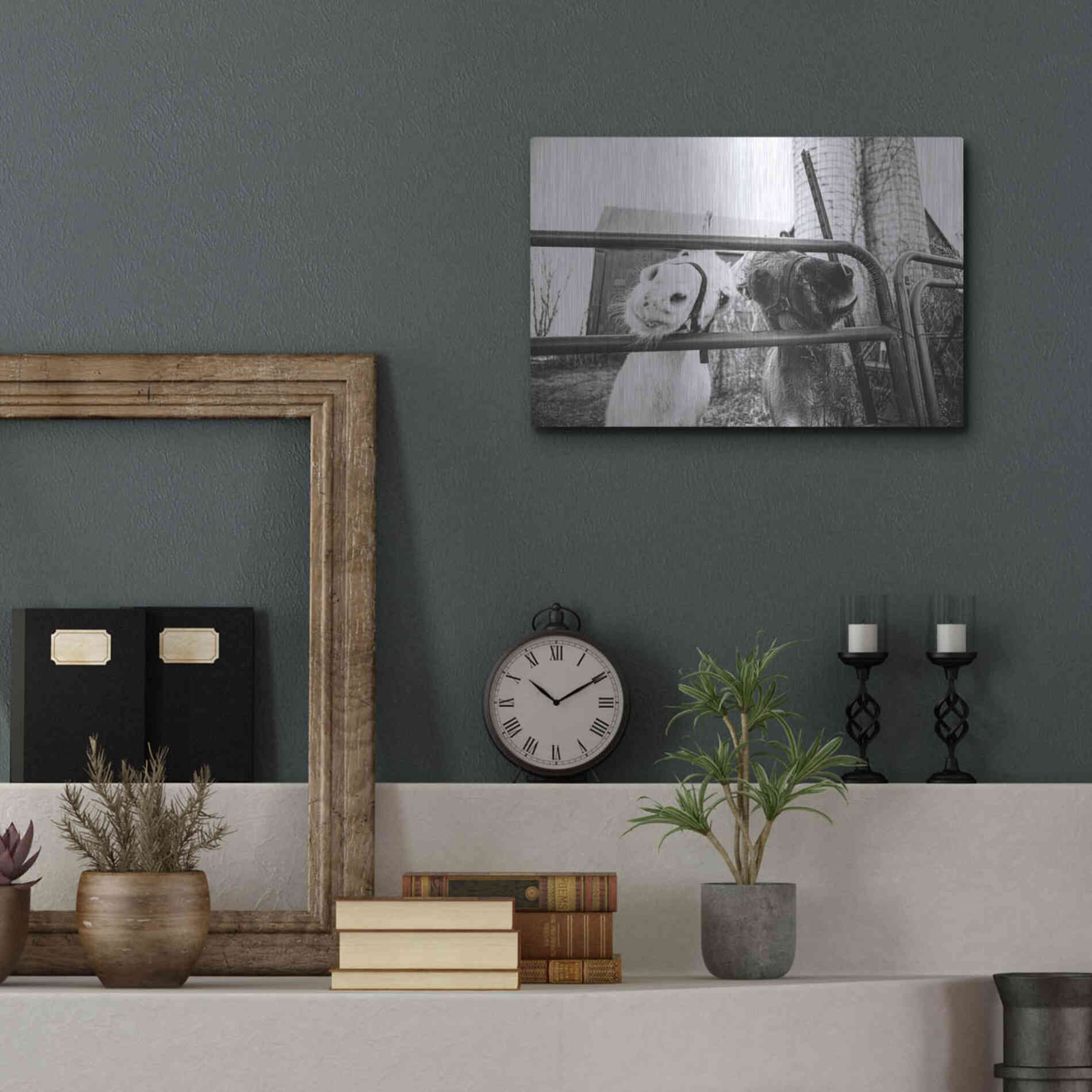 Luxe Metal Art 'Hey Donkeys I' by Donnie Quillen Metal Wall Art,16x12