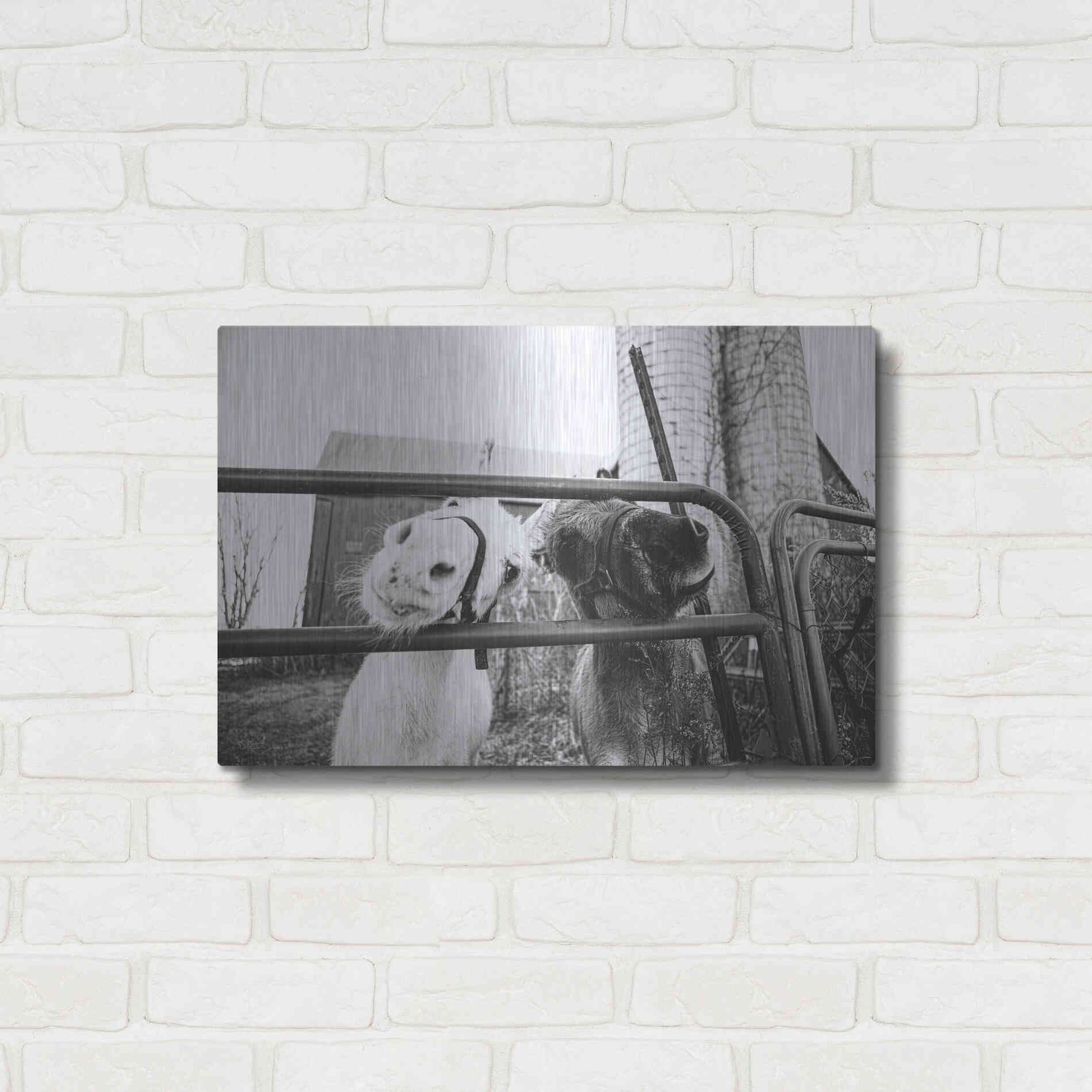 Luxe Metal Art 'Hey Donkeys I' by Donnie Quillen Metal Wall Art,24x16