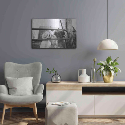 Luxe Metal Art 'Hey Donkeys I' by Donnie Quillen Metal Wall Art,24x16