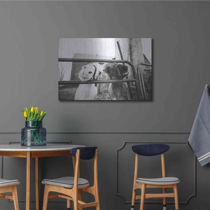 Luxe Metal Art 'Hey Donkeys I' by Donnie Quillen Metal Wall Art,36x24