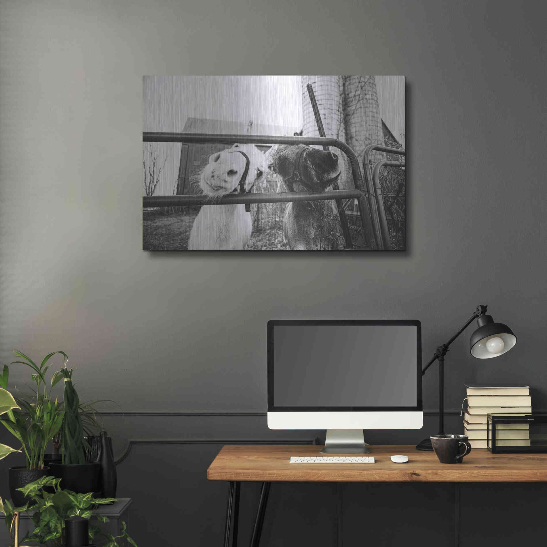 Luxe Metal Art 'Hey Donkeys I' by Donnie Quillen Metal Wall Art,36x24