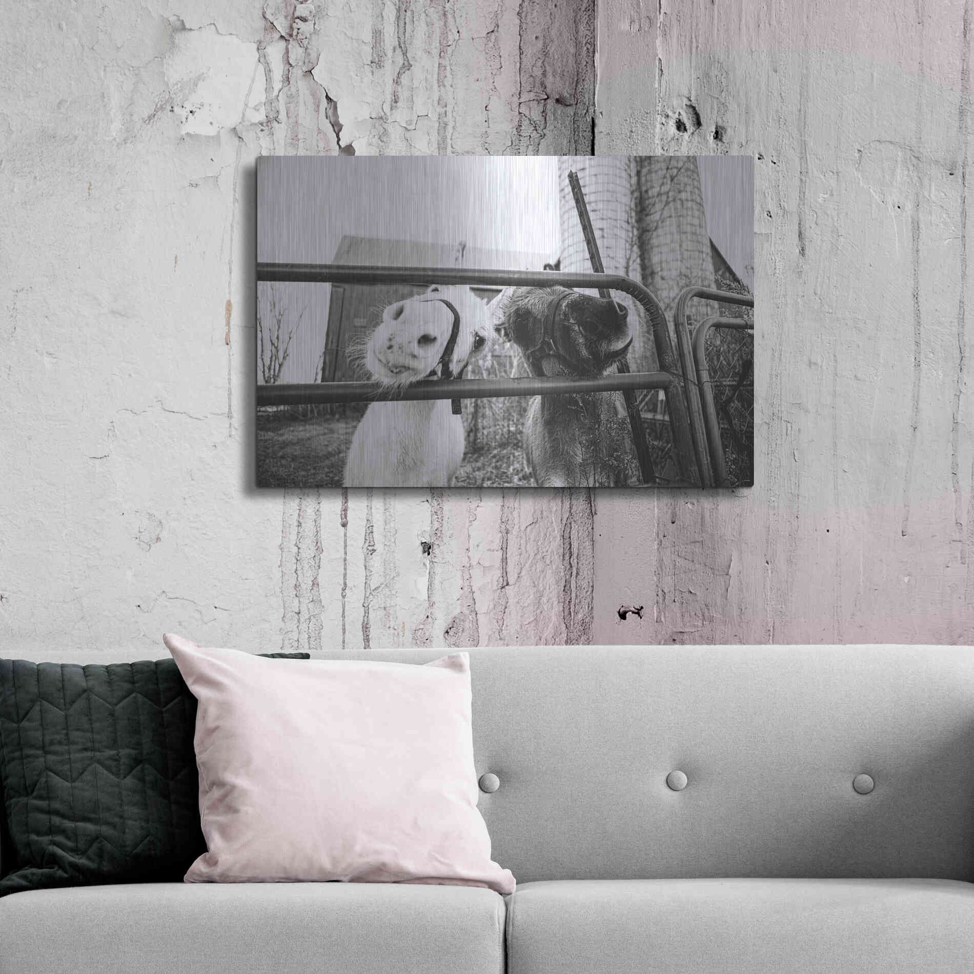 Luxe Metal Art 'Hey Donkeys I' by Donnie Quillen Metal Wall Art,36x24