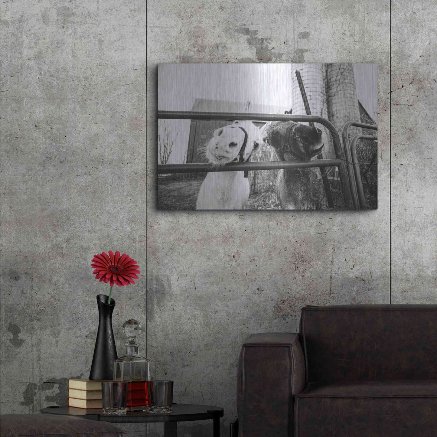 Luxe Metal Art 'Hey Donkeys I' by Donnie Quillen Metal Wall Art,36x24