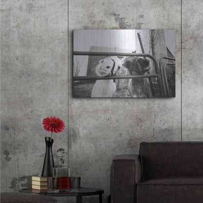 Luxe Metal Art 'Hey Donkeys I' by Donnie Quillen Metal Wall Art,36x24