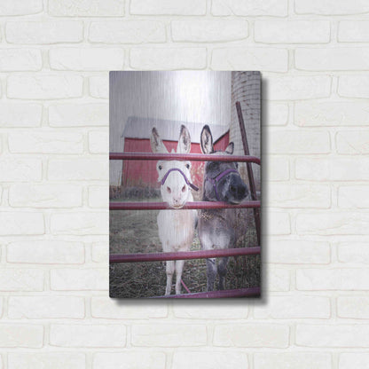 Luxe Metal Art 'Mommy & Daughter Donkeys' by Donnie Quillen Metal Wall Art,16x24