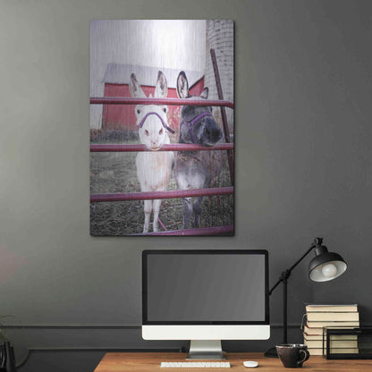 Luxe Metal Art 'Mommy & Daughter Donkeys' by Donnie Quillen Metal Wall Art,24x36