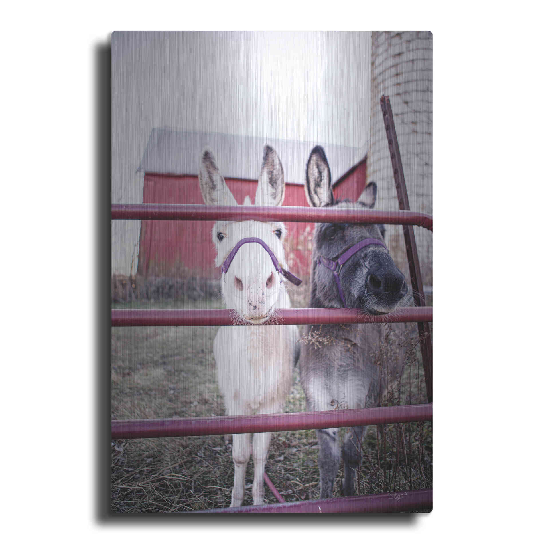 Luxe Metal Art 'Mommy & Daughter Donkeys' by Donnie Quillen Metal Wall Art