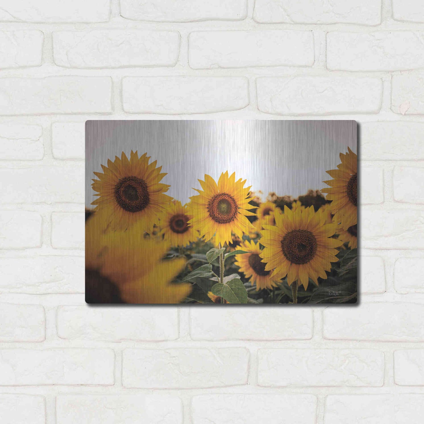 Luxe Metal Art 'Sunflower Field' by Donnie Quillen Metal Wall Art,16x12