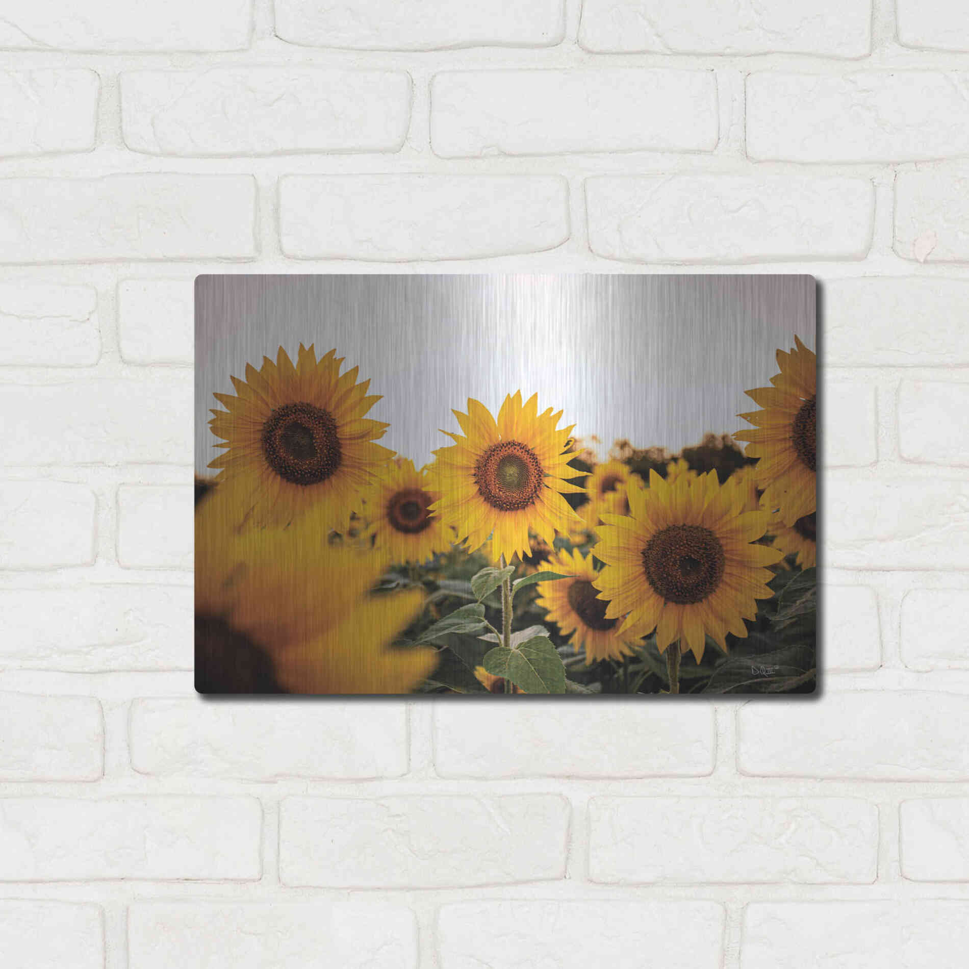 Luxe Metal Art 'Sunflower Field' by Donnie Quillen Metal Wall Art,16x12