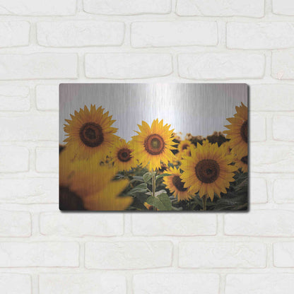 Luxe Metal Art 'Sunflower Field' by Donnie Quillen Metal Wall Art,16x12