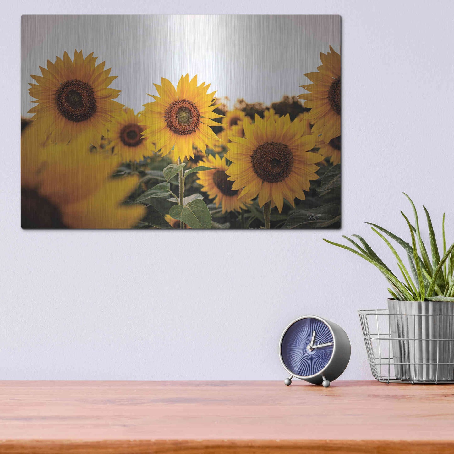 Luxe Metal Art 'Sunflower Field' by Donnie Quillen Metal Wall Art,16x12