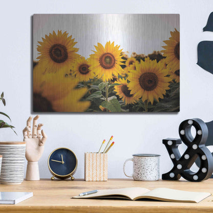 Luxe Metal Art 'Sunflower Field' by Donnie Quillen Metal Wall Art,16x12