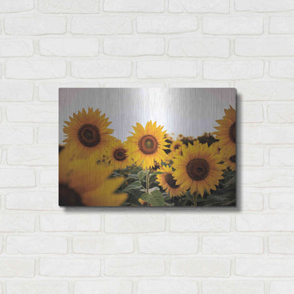 Luxe Metal Art 'Sunflower Field' by Donnie Quillen Metal Wall Art,24x16
