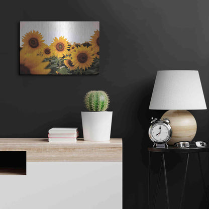 Luxe Metal Art 'Sunflower Field' by Donnie Quillen Metal Wall Art,24x16