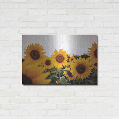 Luxe Metal Art 'Sunflower Field' by Donnie Quillen Metal Wall Art,36x24