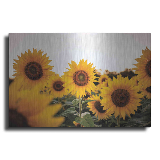 Luxe Metal Art 'Sunflower Field' by Donnie Quillen Metal Wall Art