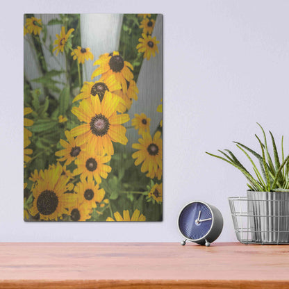 Luxe Metal Art 'Bed of Yellow' by Donnie Quillen Metal Wall Art,12x16