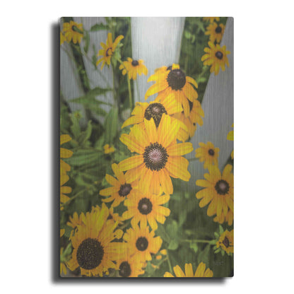 Luxe Metal Art 'Bed of Yellow' by Donnie Quillen Metal Wall Art