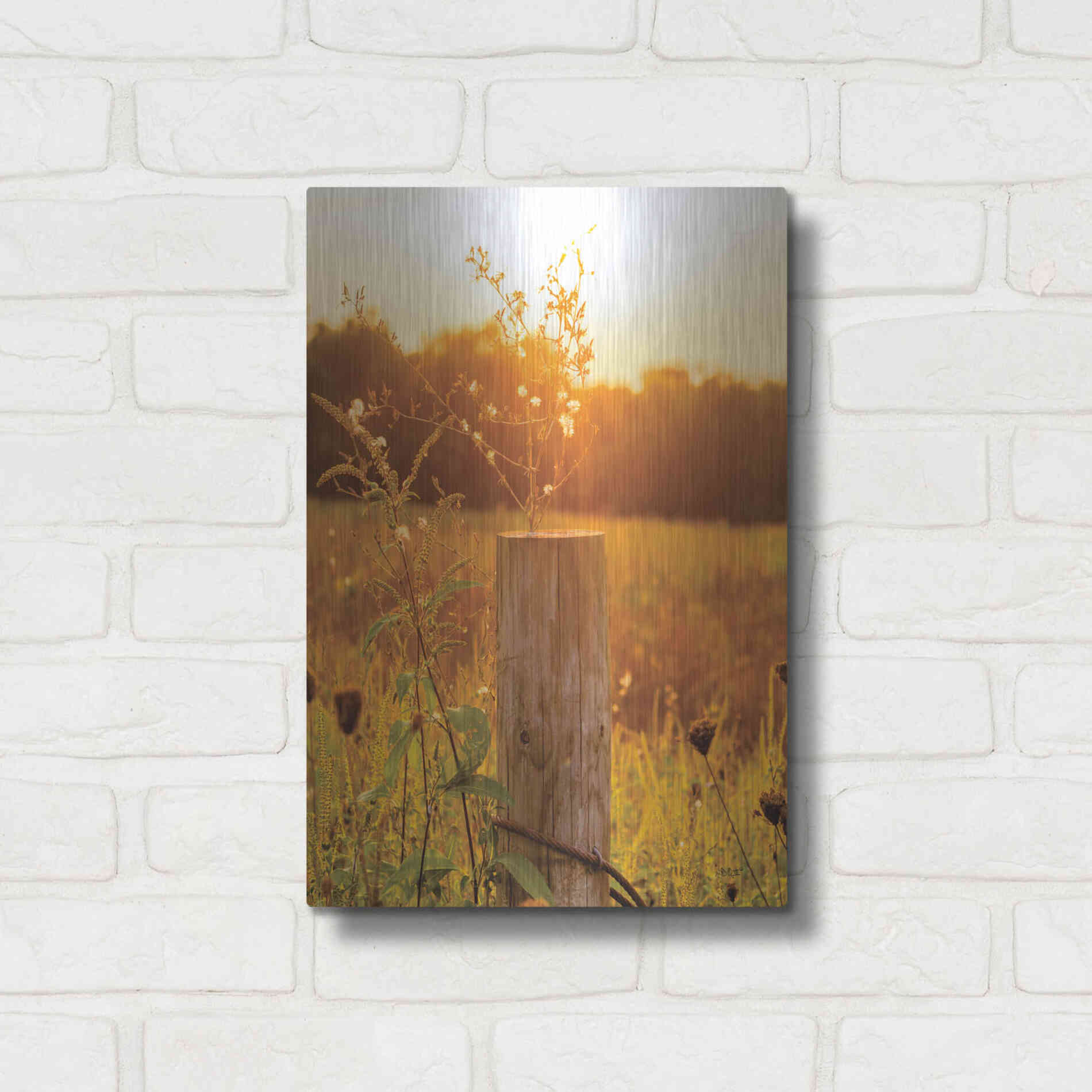 Luxe Metal Art 'Post' by Donnie Quillen Metal Wall Art,12x16