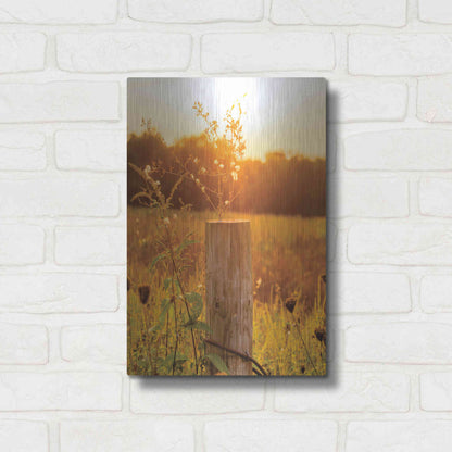 Luxe Metal Art 'Post' by Donnie Quillen Metal Wall Art,12x16
