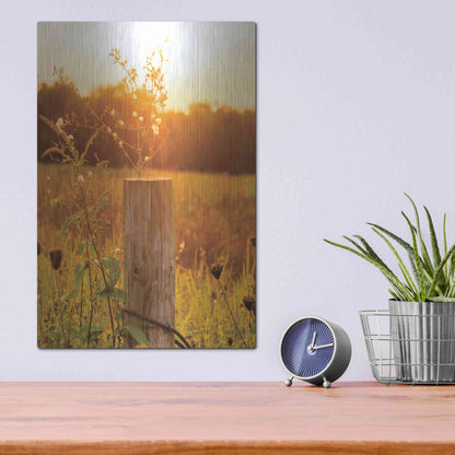 Luxe Metal Art 'Post' by Donnie Quillen Metal Wall Art,12x16