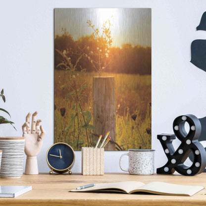 Luxe Metal Art 'Post' by Donnie Quillen Metal Wall Art,12x16