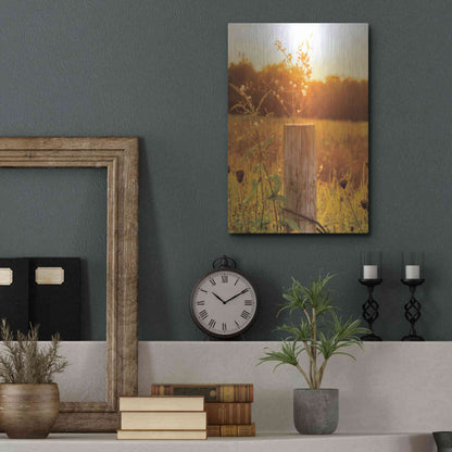 Luxe Metal Art 'Post' by Donnie Quillen Metal Wall Art,12x16
