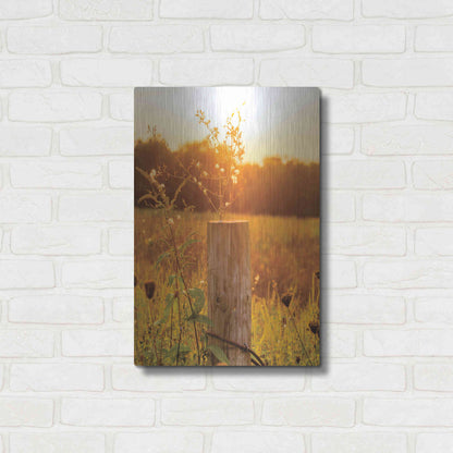 Luxe Metal Art 'Post' by Donnie Quillen Metal Wall Art,16x24